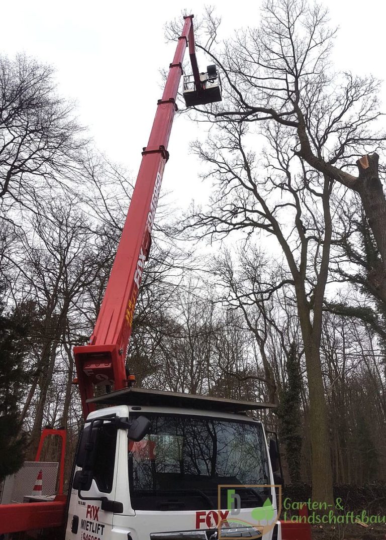Hubsteiger-Einsatz bei Baumarbeiten im Winter
