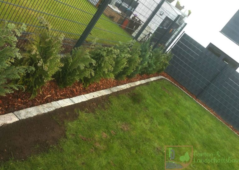 Neu angelegter Rasen mit Randeinfassung und Zaun