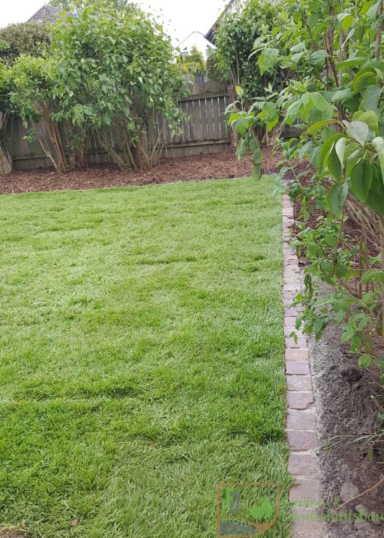 Saubere Rasenkante an Beet und Hecke
